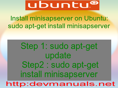 Install minisapserver on Ubuntu: sudo apt-get install minisapserver